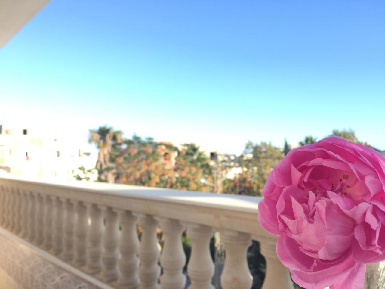 Kelibia Paradise Dış mekan fotoğraf